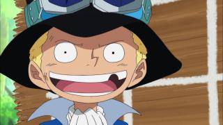 One Piece : Saga 07 - Guerre au sommet - Épisode 496