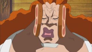 One Piece : Saga 07 - Guerre au sommet - Épisode 497