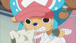 One Piece : Saga 09 - Punk Hazard - Épisode 605