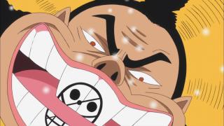 One Piece : Saga 09 - Punk Hazard - Épisode 621