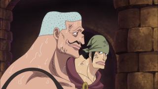 One Piece : Saga 10 - Dressrosa - Épisode 650