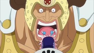 One Piece : Saga 10 - Dressrosa - Épisode 665