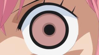 One Piece : Saga 10 - Dressrosa - Épisode 695