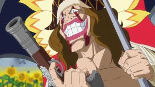 One Piece : Saga 10 - Dressrosa - Épisode 717