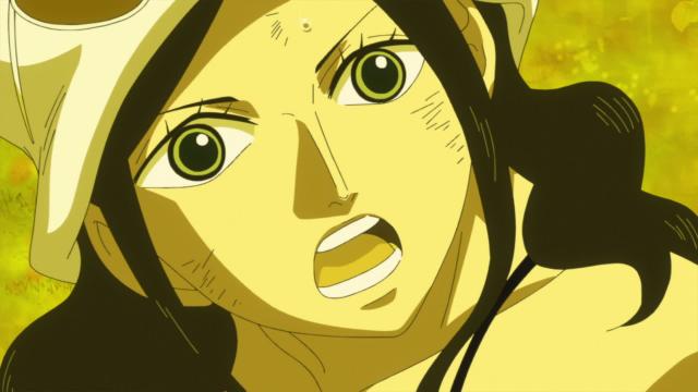 One Piece : Saga 10 - Dressrosa - 17 Épisode 725 : Explosion de fureur