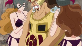 One Piece : Saga 10 - Dressrosa - Épisode 735