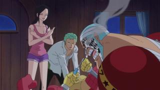 One Piece : Saga 10 - Dressrosa - Épisode 739