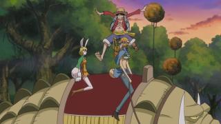 One Piece : Saga 11 - Zo - Épisode 755