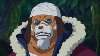 One Piece : Saga 11 - Zo - Épisode 767