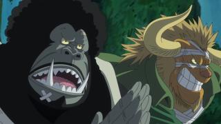 One Piece : Saga 11 - Zo - Épisode 768