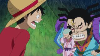 One Piece : Saga 11 - Zo - Épisode 771