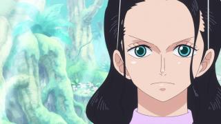 One Piece : Saga 11 - Zo - Épisode 773