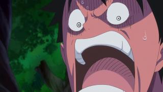 One Piece : Saga 12 - Whole Cake Island - Épisode 796